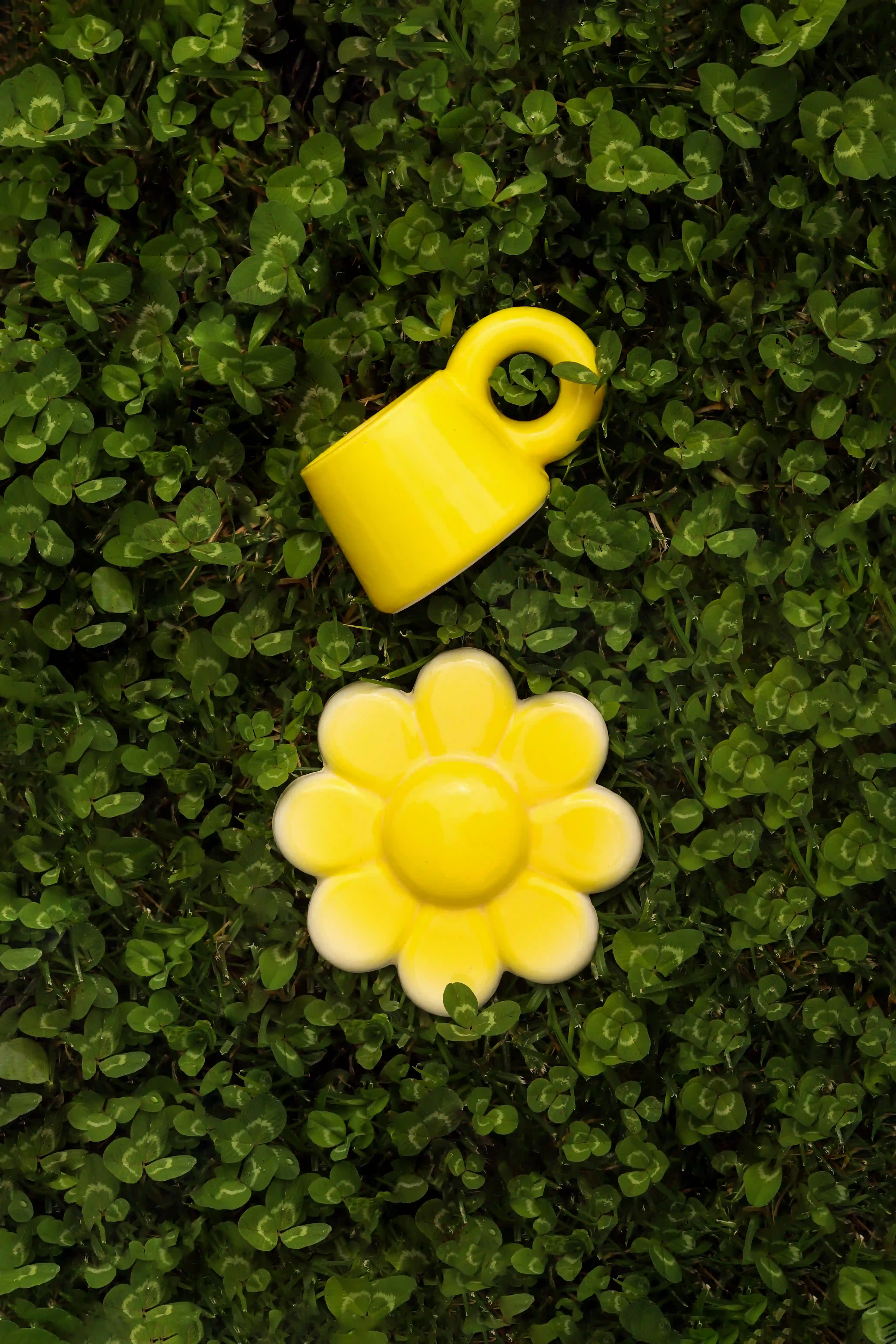 Flower Cup (Conjunto)