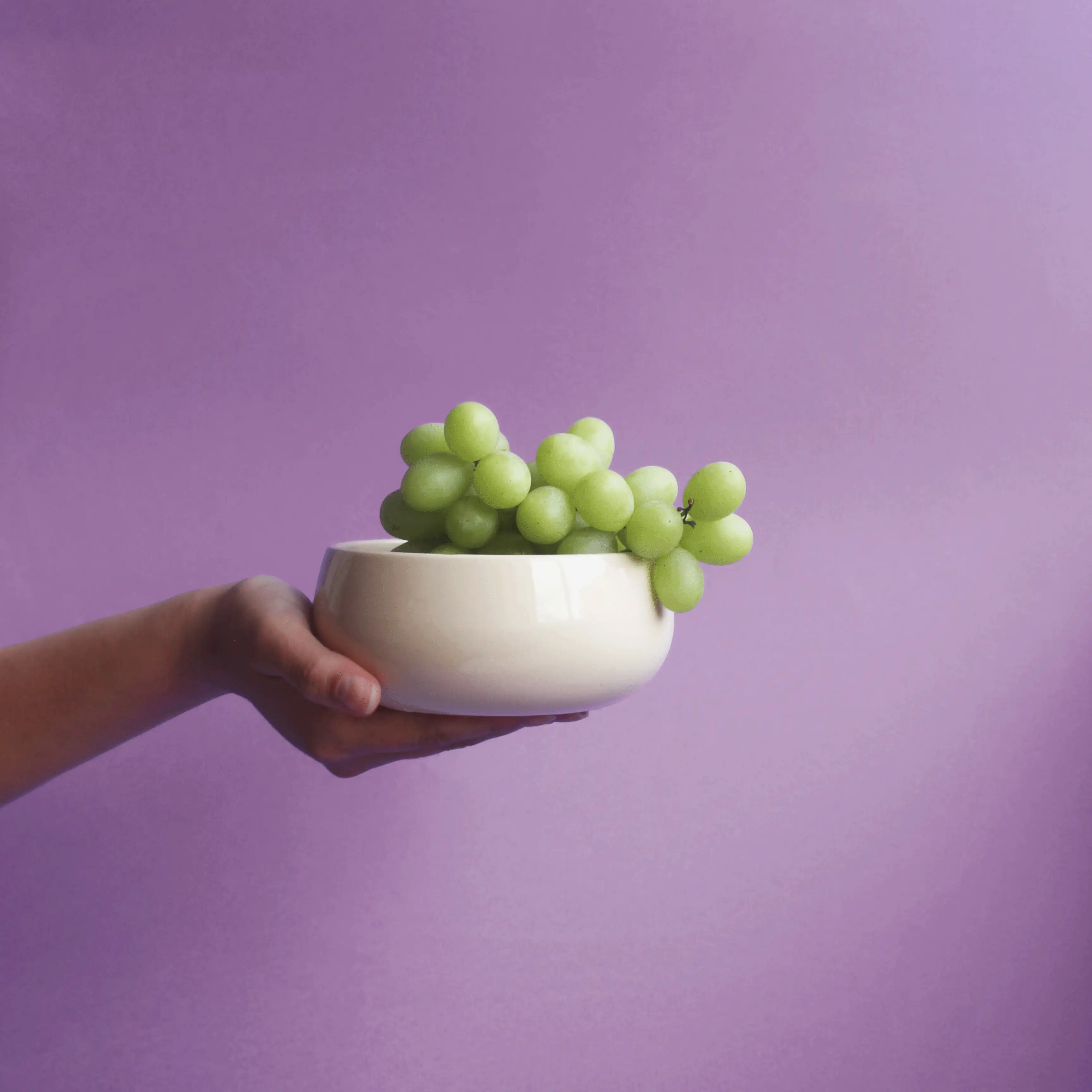 Imagen 15 de Bowl Burbuja